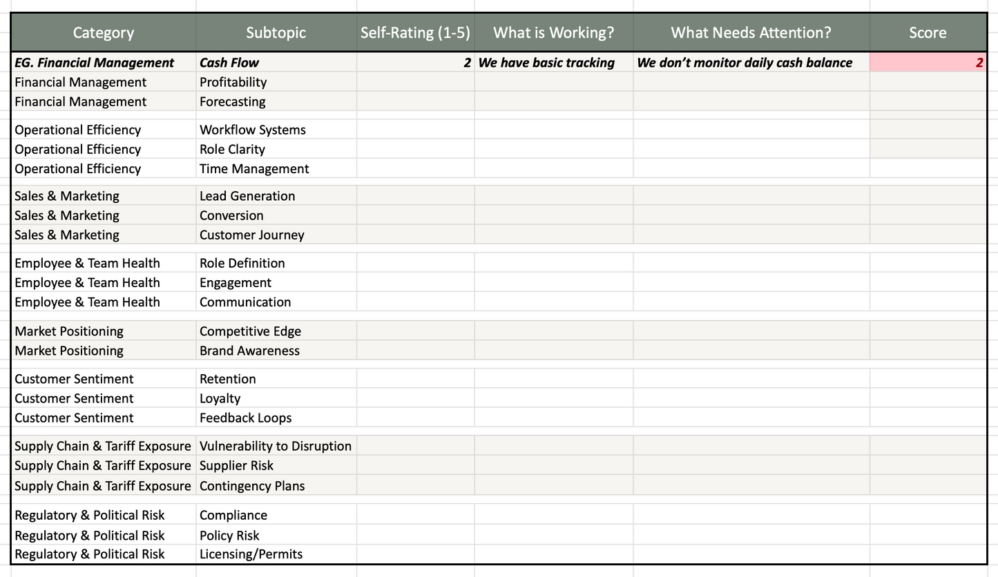 DIY Business Strategy Workbook - for Entrepreneurs